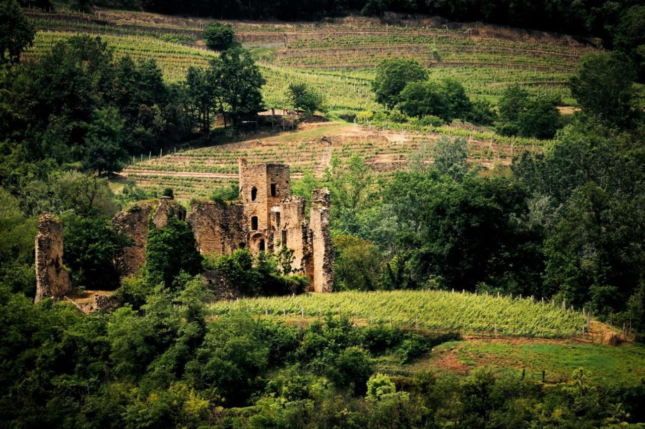 Villa Gelso Vesime Zewnętrze zdjęcie