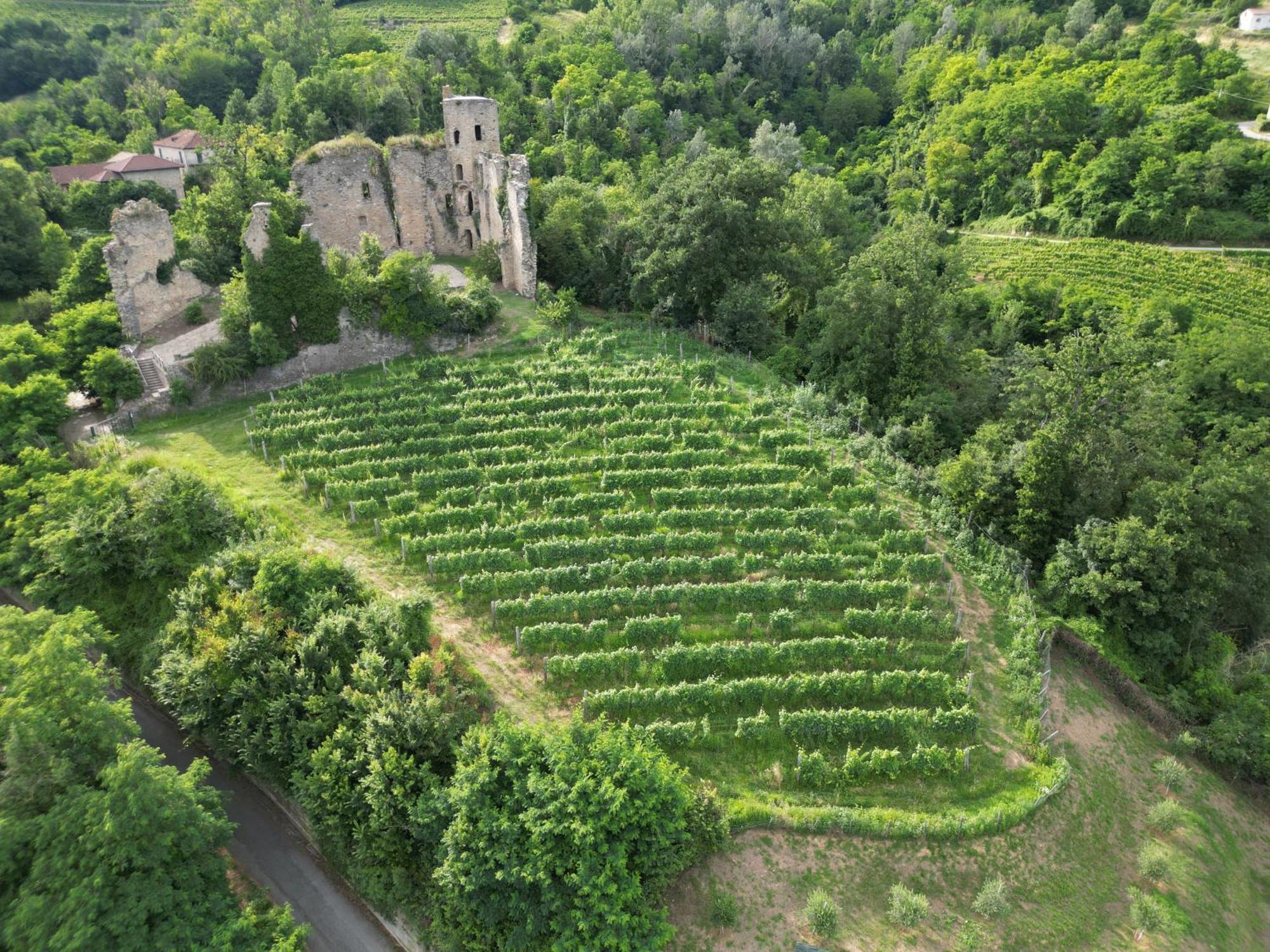 Villa Gelso Vesime Zewnętrze zdjęcie